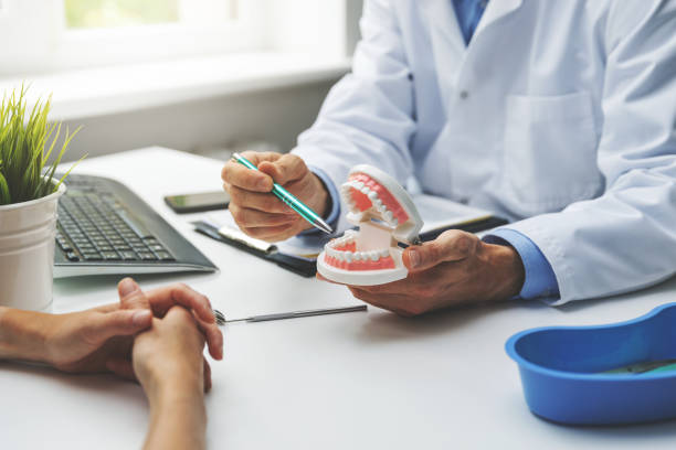 Professional Holistic Dental Care Services in St Charles, IL